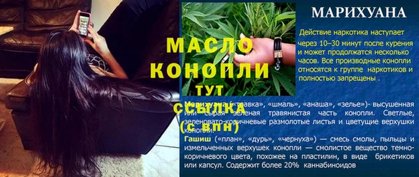 сатива Армянск