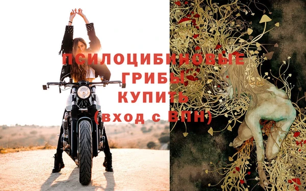 прущая мука Арсеньев