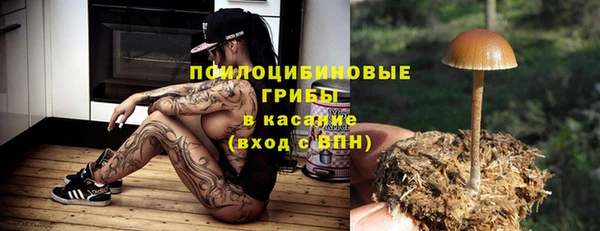 прущая мука Арсеньев